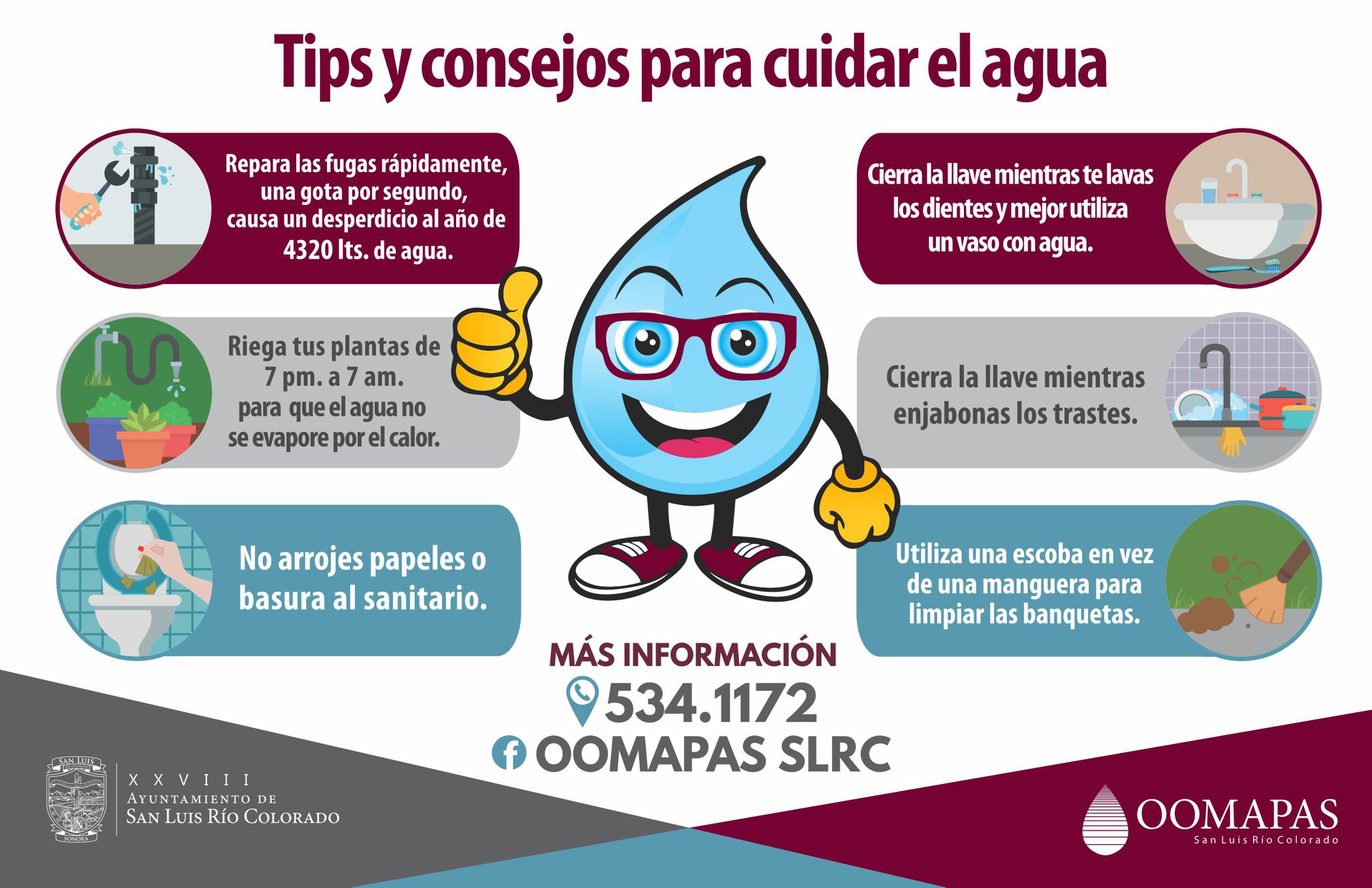 Tips y Consejos